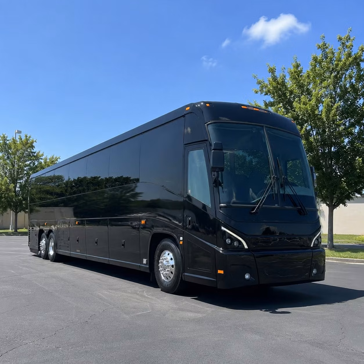 56 passenger charter bus